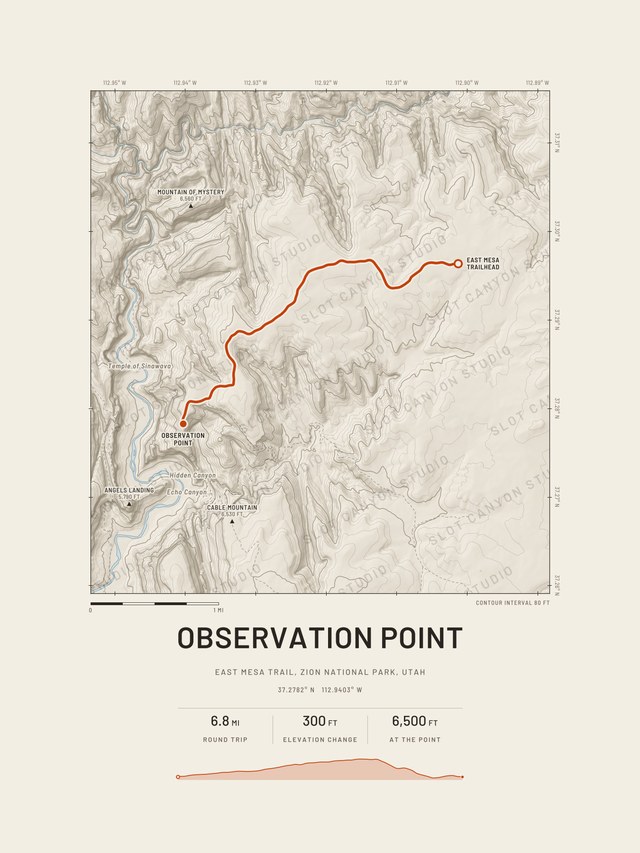 Classic layout: the Observation Point map in the Sandstone style, with the Virgin River in the canyon to the west, and the trail name, stats and a small elevation profile below the map.